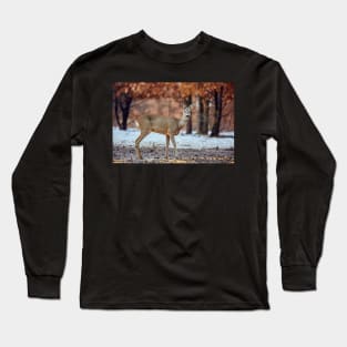 Roe deer in the forest Long Sleeve T-Shirt